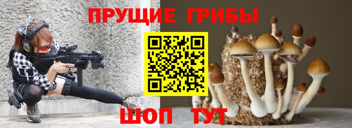Псилоцибиновые грибы прущие грибы  Вход с VPN  Норильск  Галлюциногенные грибы GOLDEN TEACHER 