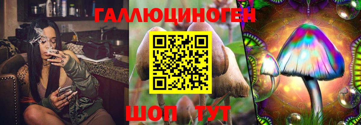 Псилоцибиновые грибы GOLDEN TEACHER Норильск
