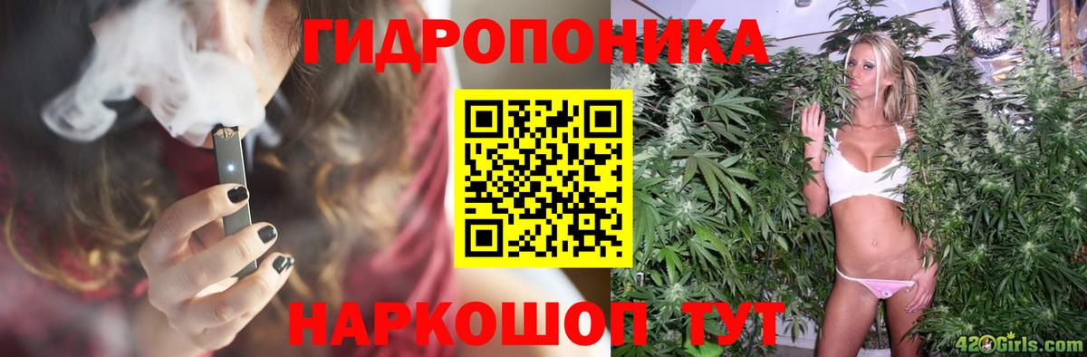 Бошки Шишки семена  Бошки Шишки VHQ  Каннабис VHQ  Вход с VPN  Норильск  Бошки марихуана тримм 